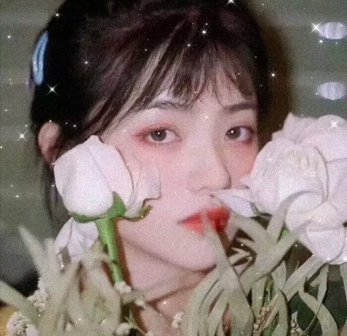 宝瓶奇谋